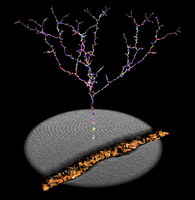 Breath Garden thumbnail image